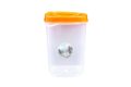 Container square new