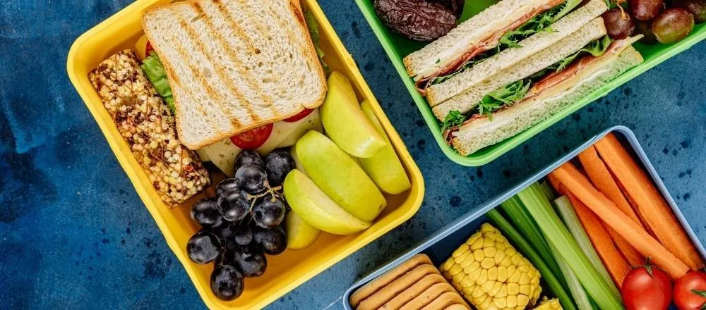 A Guide to Choosing the Best Quality Lunch Box for You and Your Family