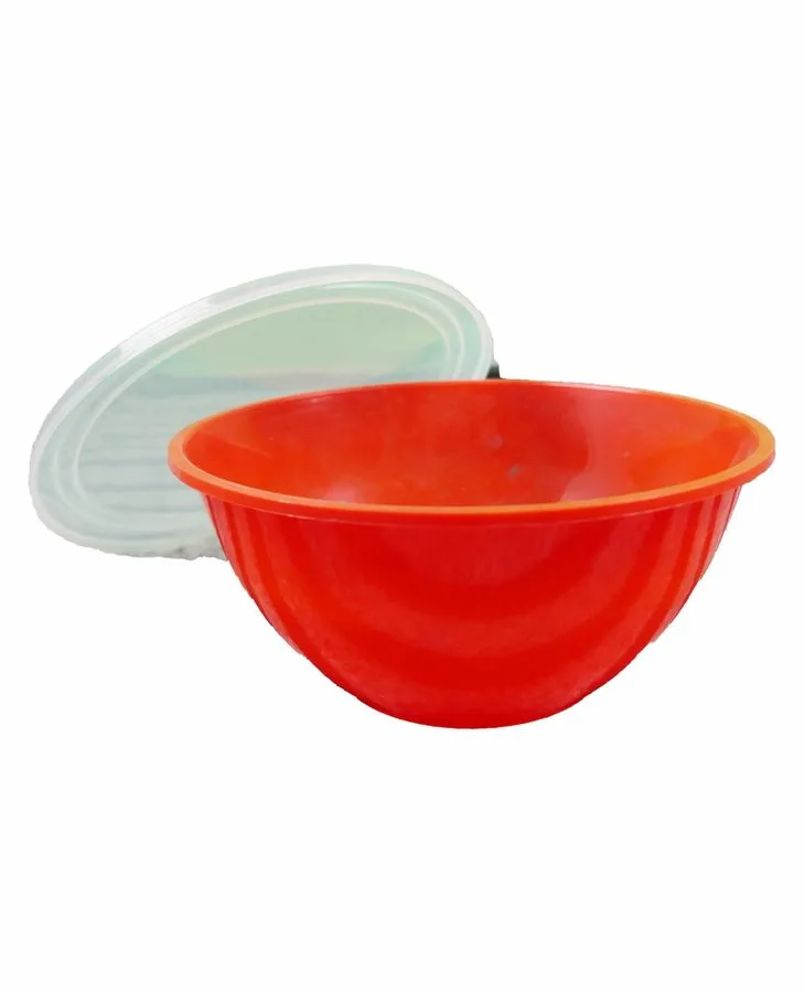 Rice Bowl